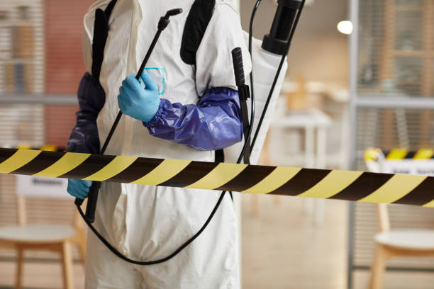 Professional Sewage Cleanup technician working in Campbell, NE